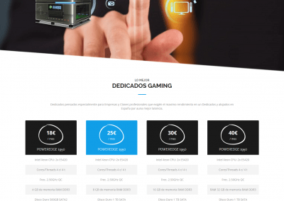 WEB Bino - Graphic Designer